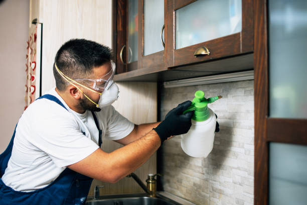 Best Bed Bug Extermination  in Oklahoma, PA