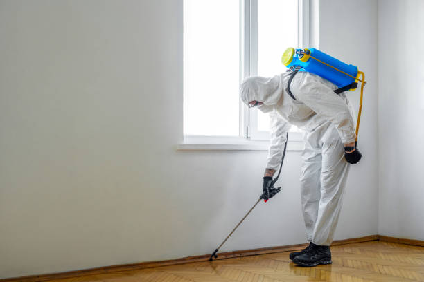 Reliable Oklahoma, PA Pest Control Solutions