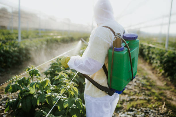 Best Termite Control Services  in Oklahoma, PA